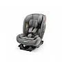 CADEIRA PARA AUTO ALL STAGES FIX 2.0 CINZA - FISHER PRICE