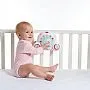 MBILE MUSICAL SOOTHEN GROOVE TINY PRINCESS - TINY LOVE