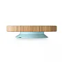 PRATO REDONDO COM DIVISRIAS E VENTOSA AZUL BAMBU - FISHER PRICE