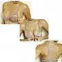 SOUTIEN AMAMENTAO COM BOJO CHOCOLATE - MARILAN